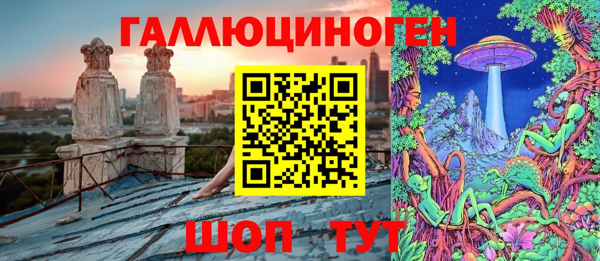 Галлюциногенные грибы Psilocybe Каменка